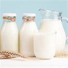 Молоко, яйца и сыр