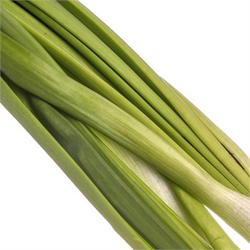 Лук зеленый 50гр LJRZhGssj6MruhCSJgJQ01