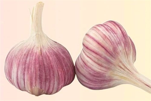 Чеснок 100гр (1шт) aD3ktLgeg0uzQqzrgNyxQ3