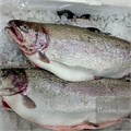 Форель речная с/м, кг iFl3otdThArBiNWDIsbMR0 - фото 15024